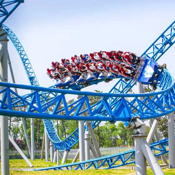 Family Roller Coaster for Sale